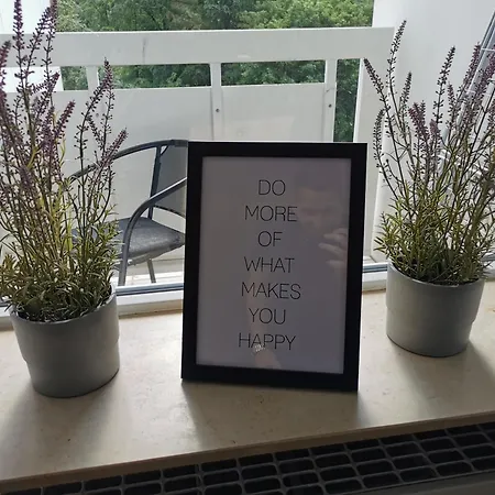 Fr14 - Schoene 2-zimmer-wohnung Mit Balkon In Heusenstamm